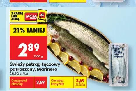 Świeży pstrąg tęczowy patroszony Marinero