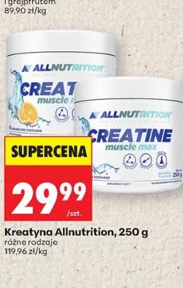 Kreatyna Allnutrition