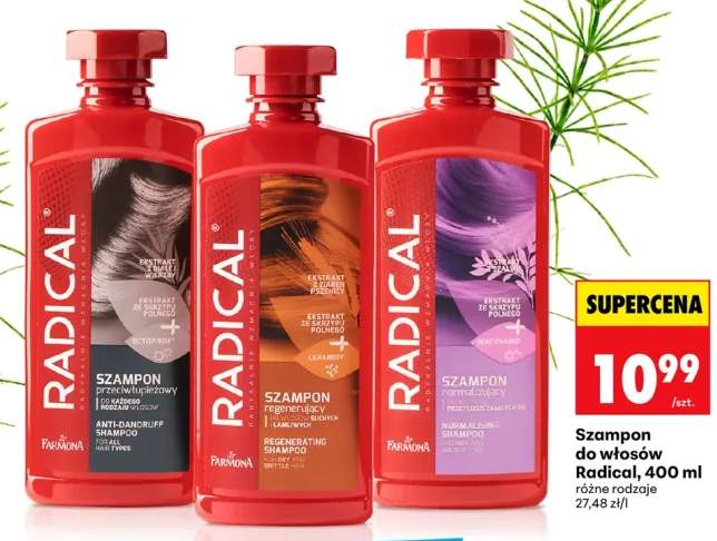 Szampon normalizujący Radical