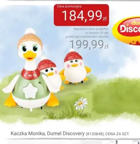 kaczka