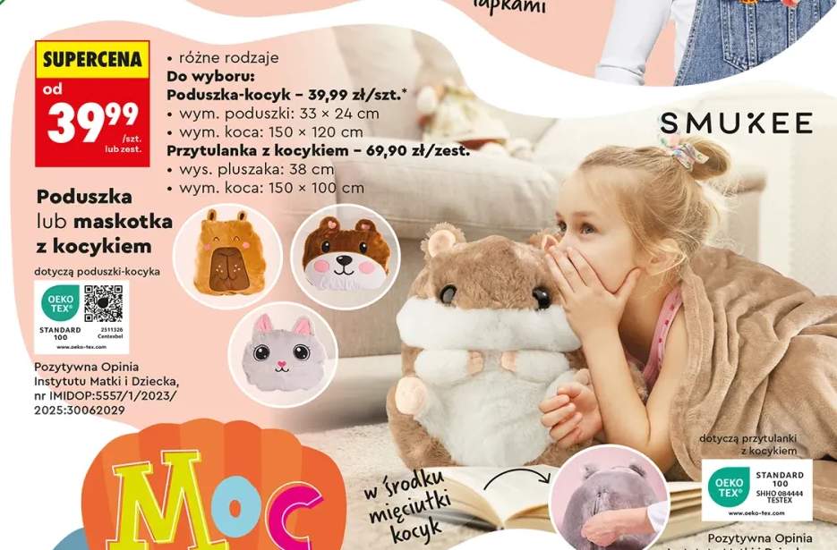 Poduszka lub maskotka z kocykiem