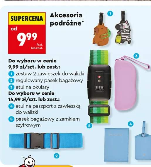 Etui na okulary