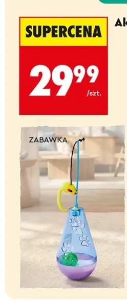 Zabawka ACTIV PET
