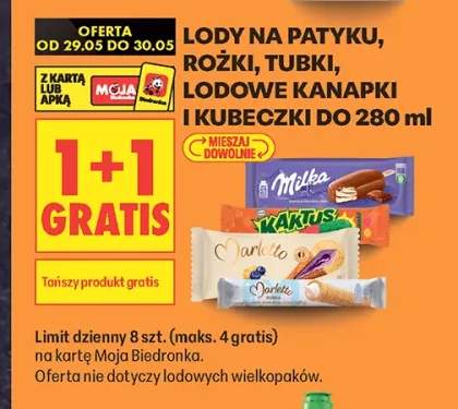 Lody na patyku, rożki, tubki, lodowe kanapki i kubeczki do 280ml