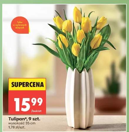 Tulipan wysokość 35cm