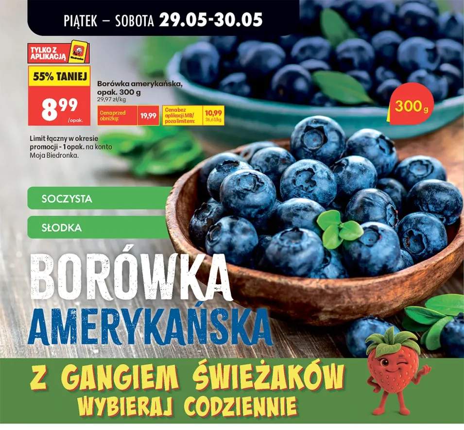 Borówka amerykańska