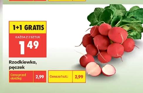 Rzodkiewka pęczek