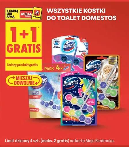 Kostki do toalet Domestos