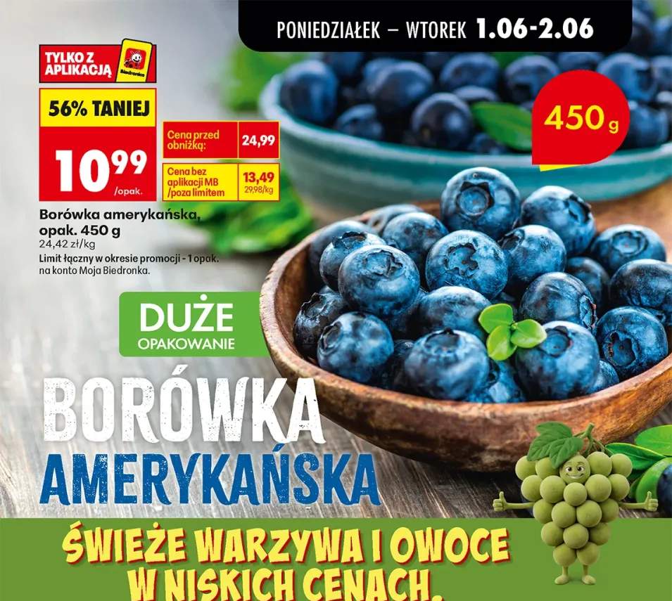 Borówka amerykańska