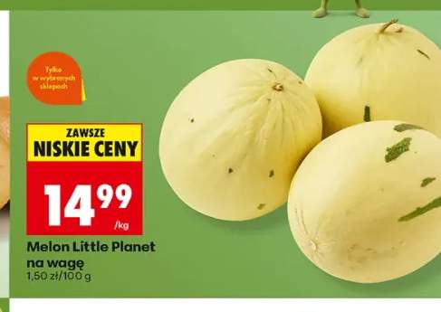 Melon Little Planet na wagę
