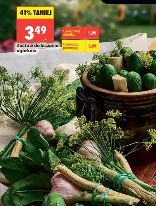 Zestaw do kiszenia ogórków