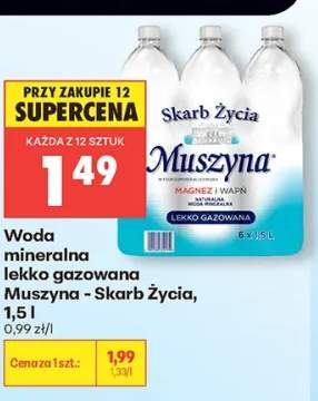 Woda mineralna lekko gazowana Muszyna - Skarb Życia
