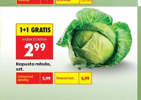 Kapusta młoda