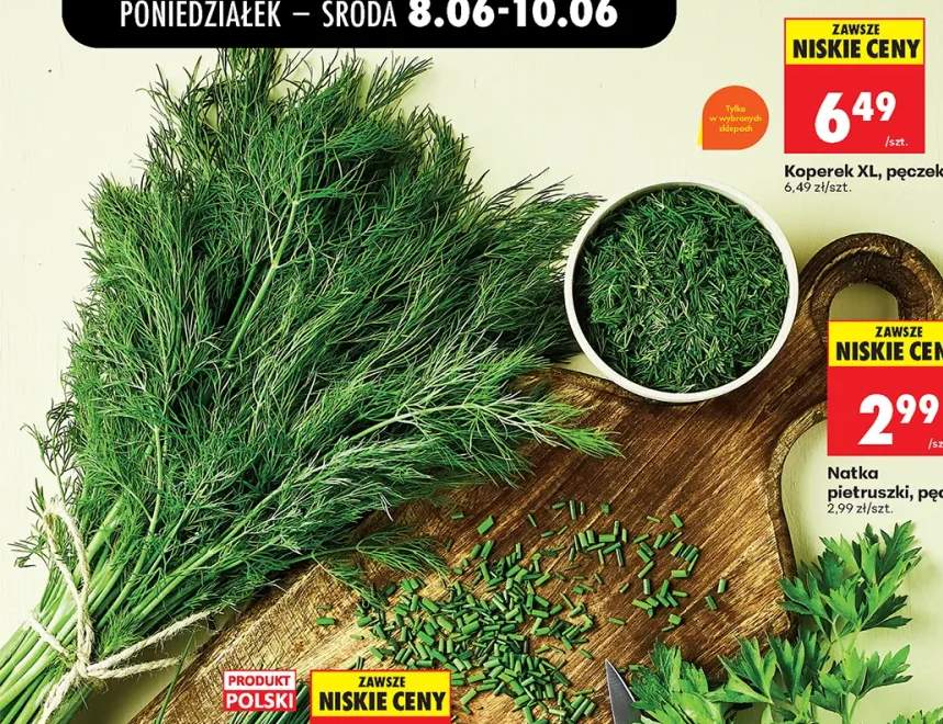 Koperek XL pęczek
