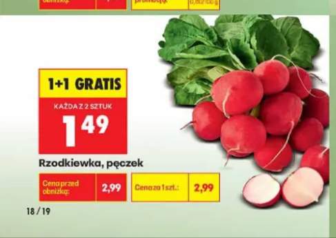 Rzodkiewka pęczek