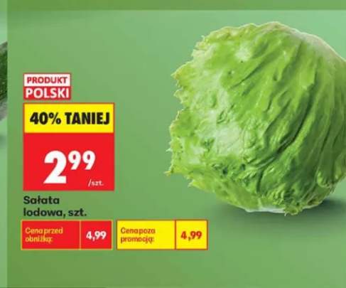 Sałata lodowa