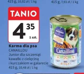 karma dla psa