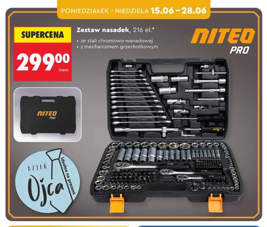 Zestaw nasadek NITEO PRO