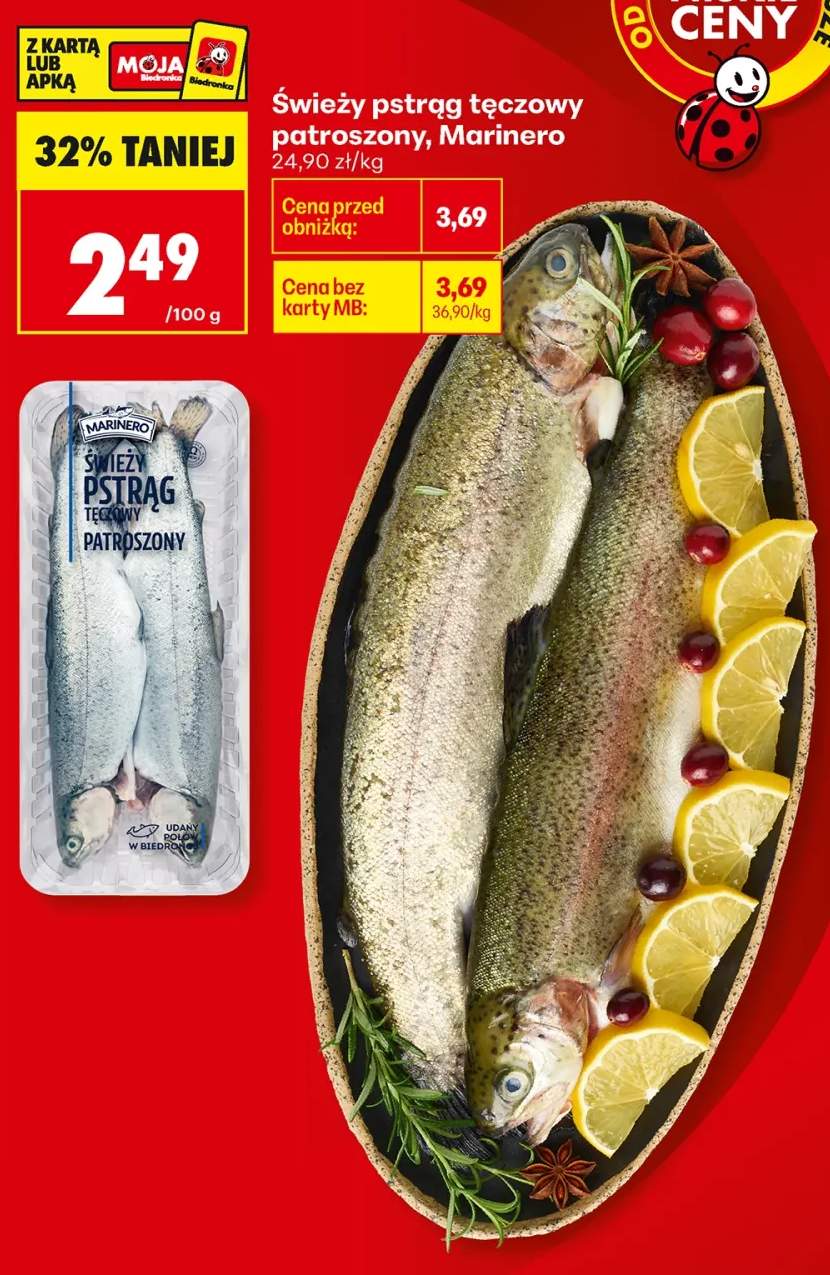 Świeży pstrąg tęczowy patroszony Marinero