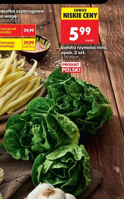 Sałata rzymska mini polska