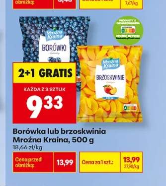 Borówki Mroźna Kraina +1 wariant