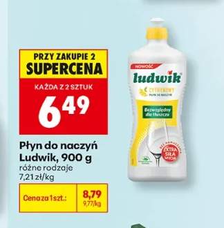 Płyn do naczyń Ludwik
