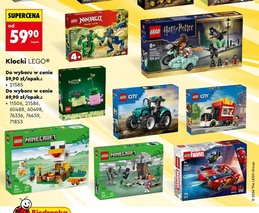 Klocki LEGO Botanicals 21585 Rocking Plants +7 wariantów