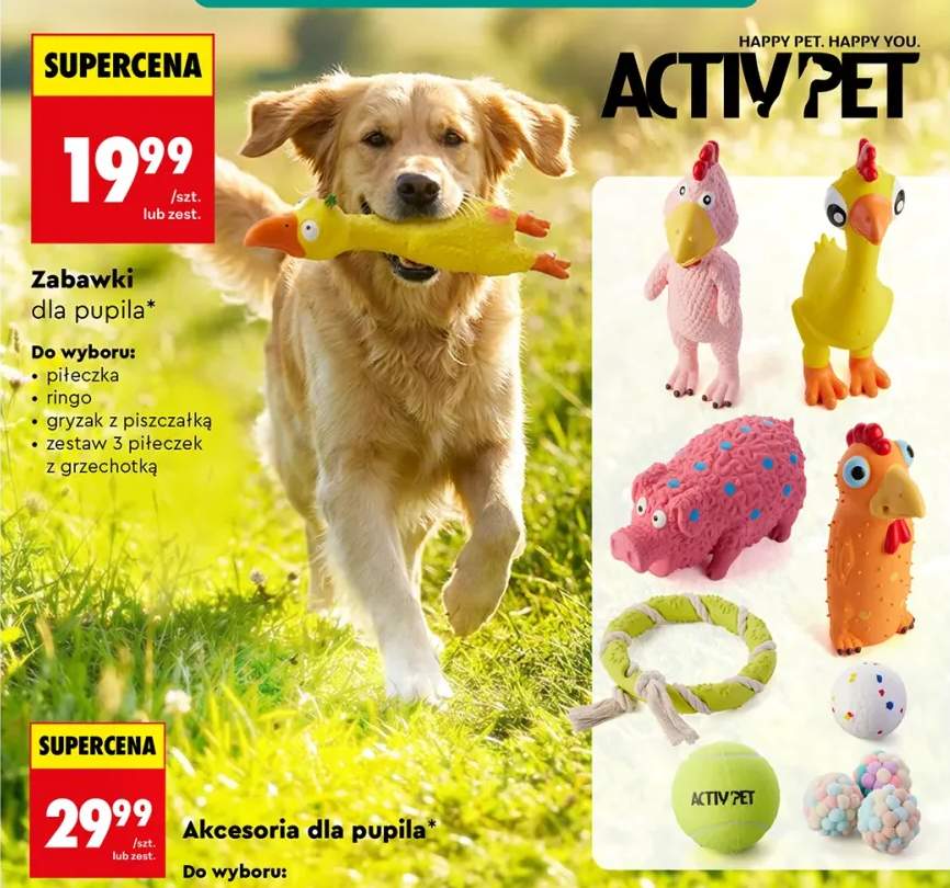 Zabawka piłeczka dla pupila Activ Pet +3 warianty