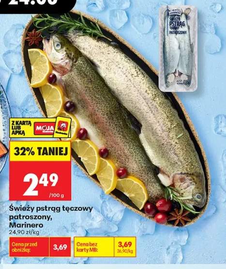 Świeży pstrąg tęczowy patroszony Marinero