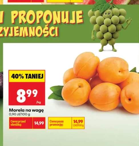 Morela na wagę