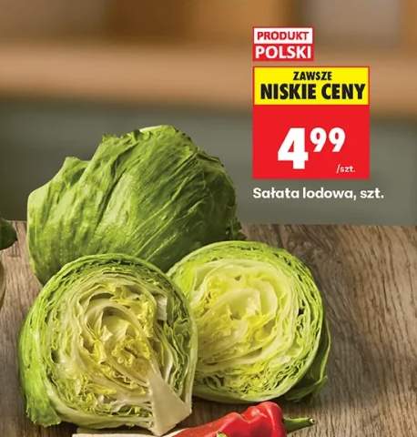 Sałata lodowa