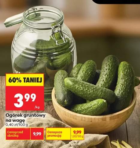 Ogórek gruntowy