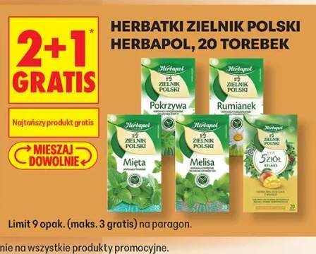 Herbatka ziołowa Herbapol Zielnik Polski Pokrzywa +4 warianty