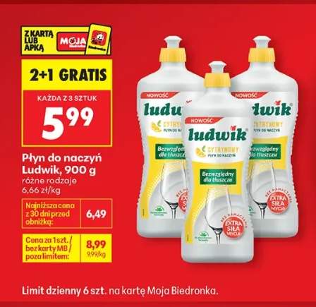 Płyn do naczyń Ludwik miętowy +1 wariant