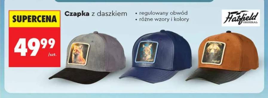 Czapka z daszkiem Hatfield