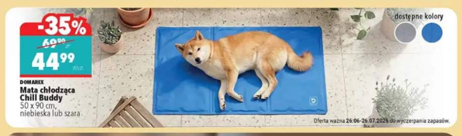Mata chłodząca Chill Buddy Domarex 50x90 cm niebieska +1 wariant