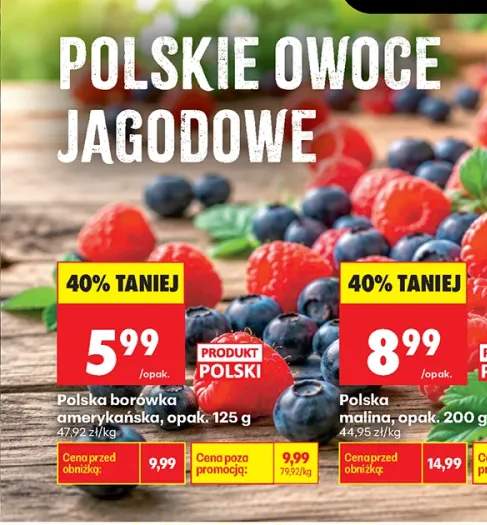 Borówka amerykańska polska