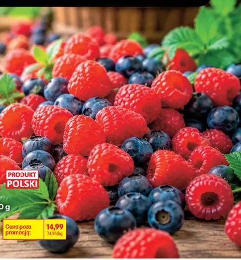 Malina polska