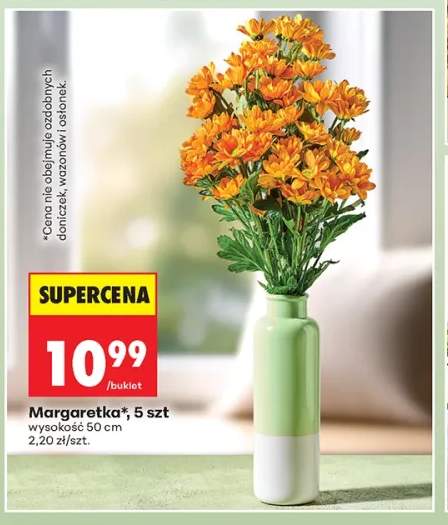 Margaretka 5-pak
