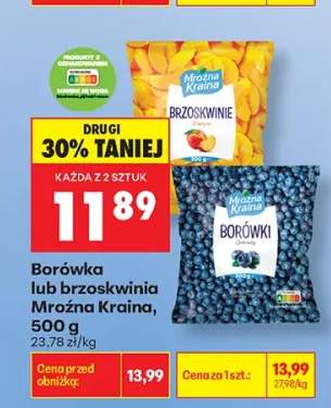 Borówka Mroźna Kraina +1 wariant