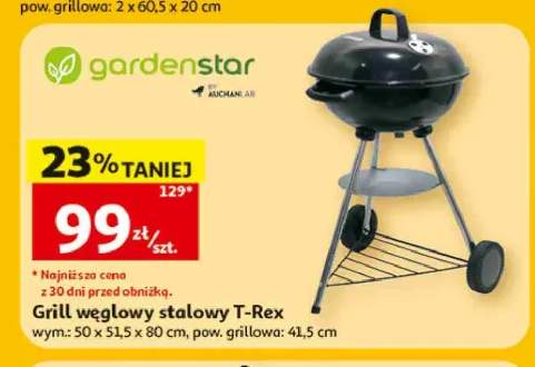 grill węglowy