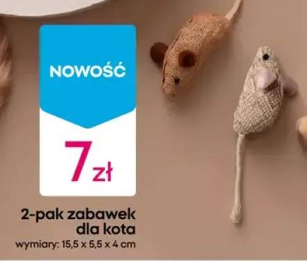 zabawka dla kota