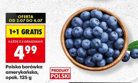 Borówka amerykańska polska
