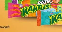 Lody Kaktus Classic