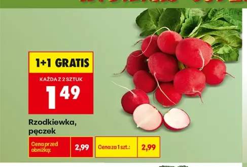 Rzodkiewka pęczek