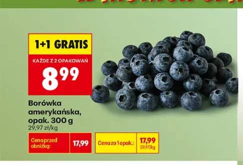 Borówka amerykańska
