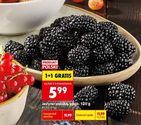 Jeżyna polska