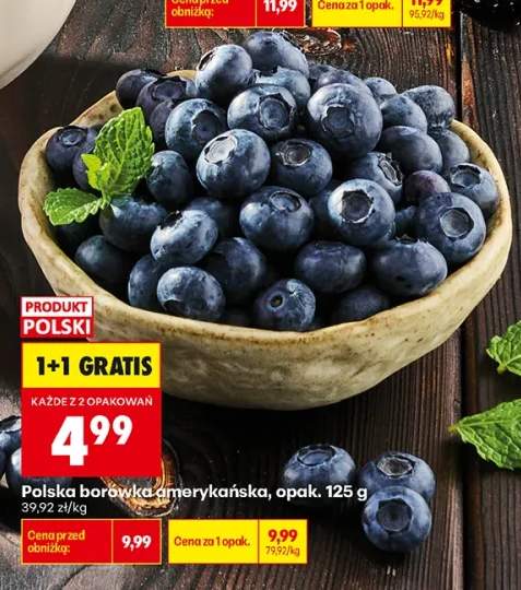 Borówka amerykańska polska