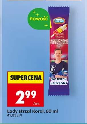 Lody strzał Koral