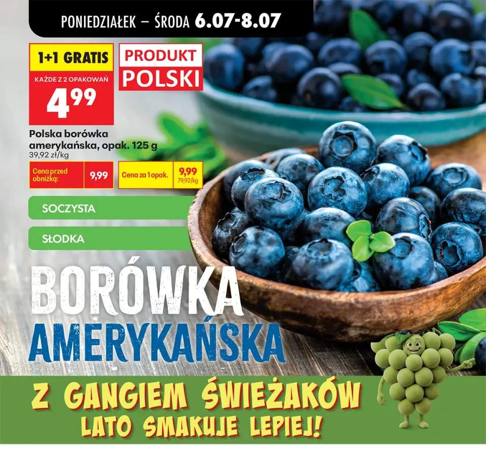 Borówka amerykańska polska